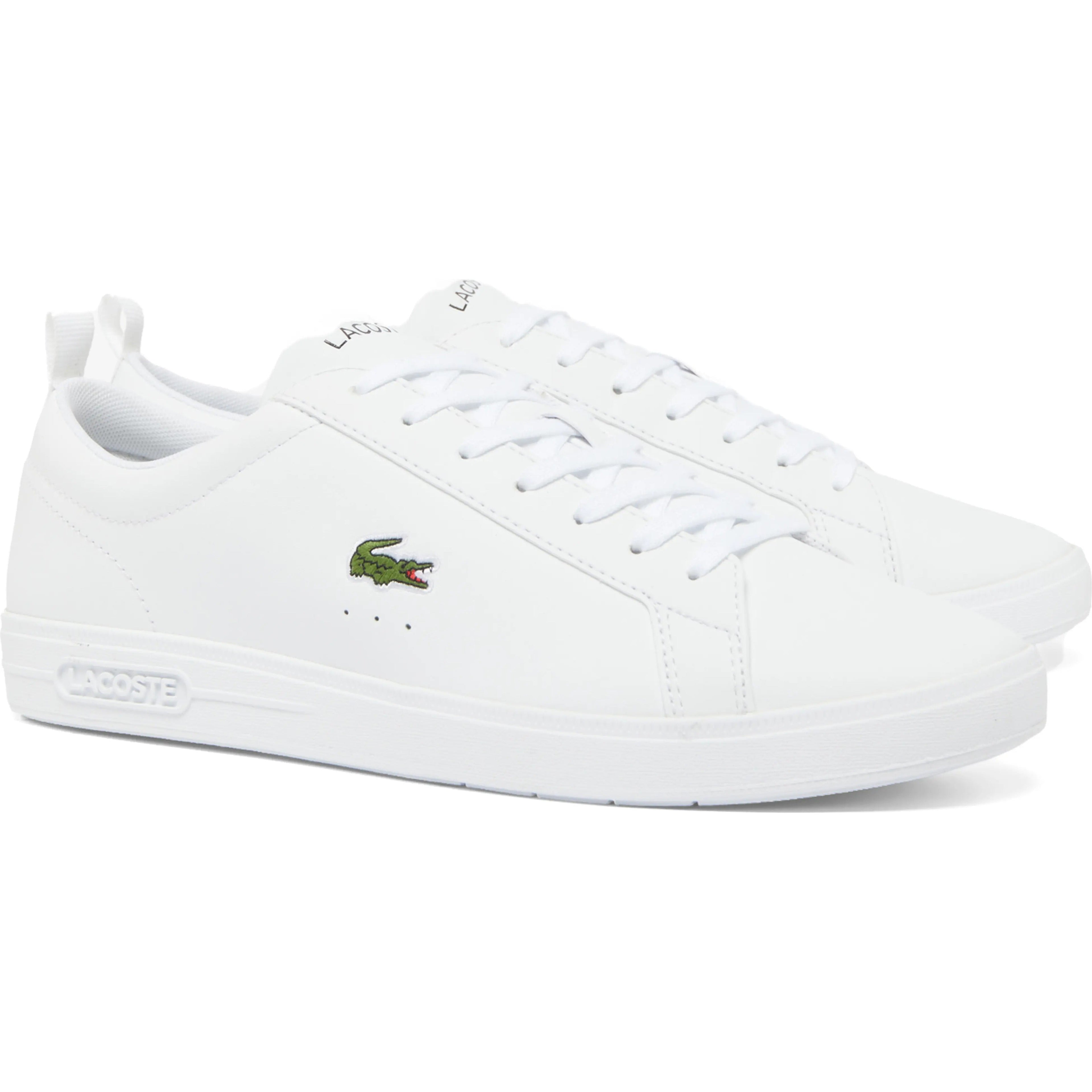 Lacoste Low Top Hombre