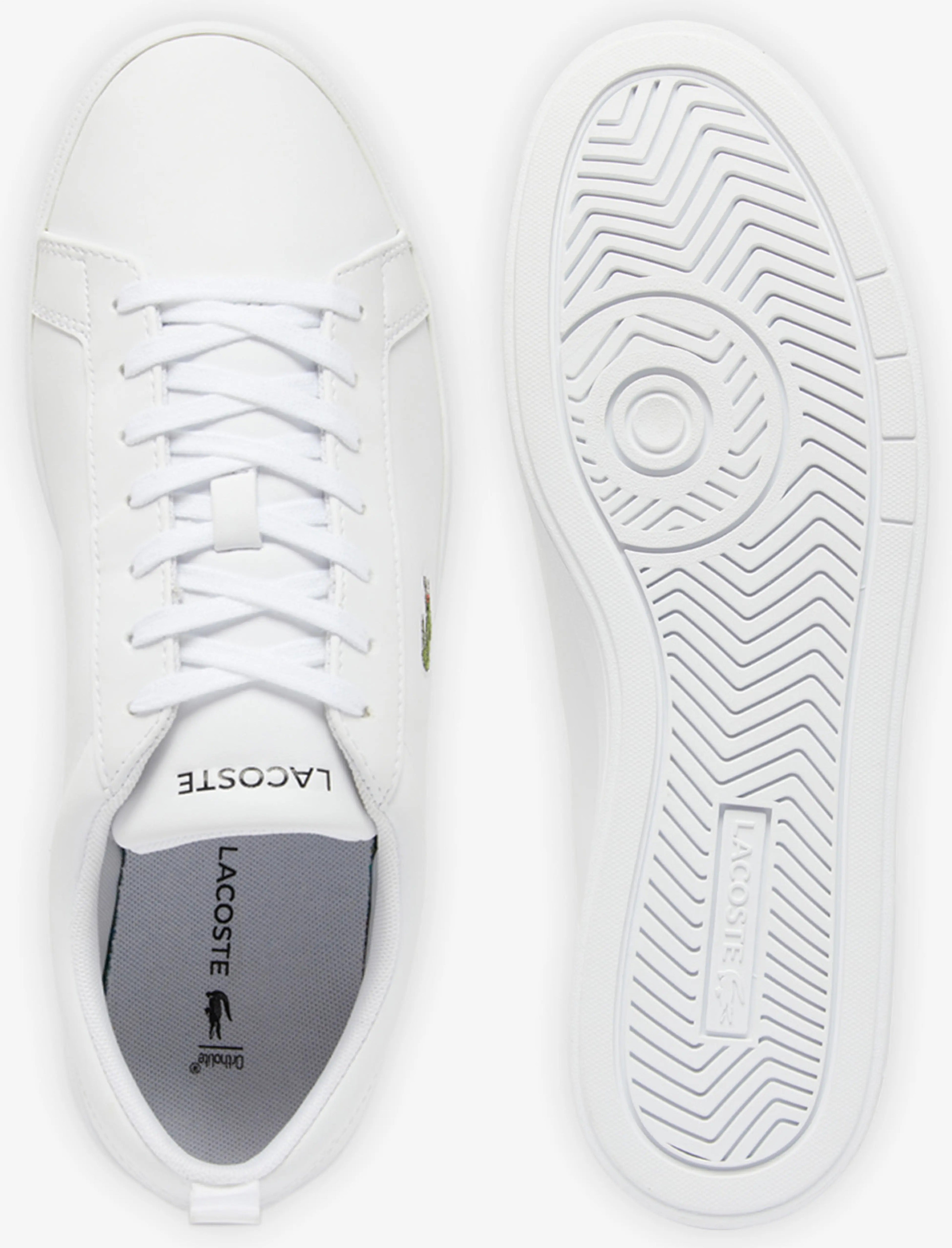 Lacoste Low Top Hombre
