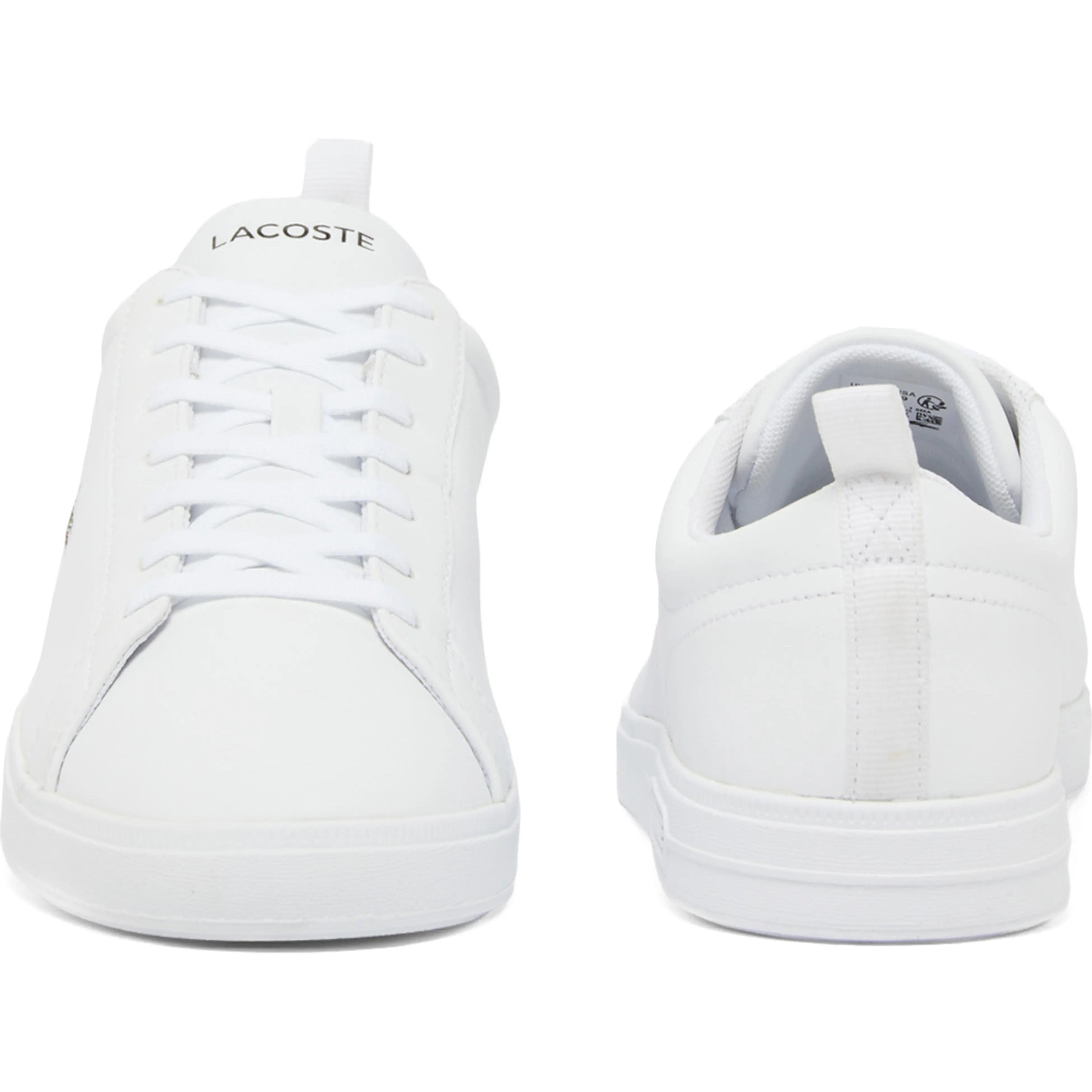 Lacoste Low Top Hombre
